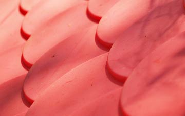 Barlavington plastic roof costs