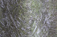 Barlavington fibreglass roof work